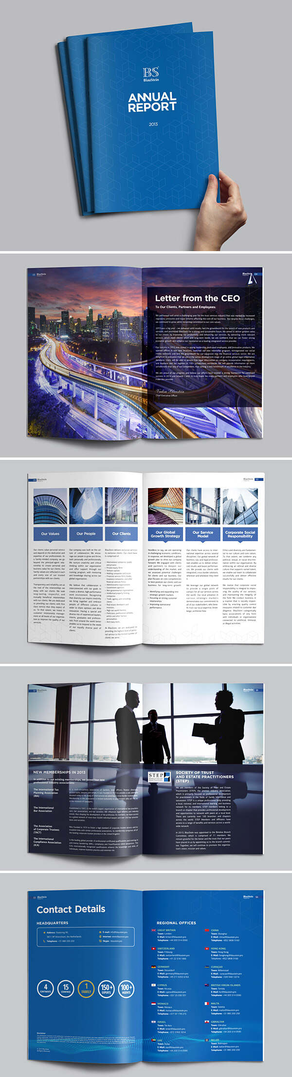 blue annual report brochure